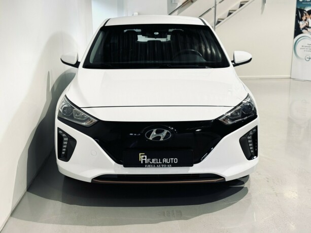 hyundai-ioniq-elektrisitet-2019-big-2