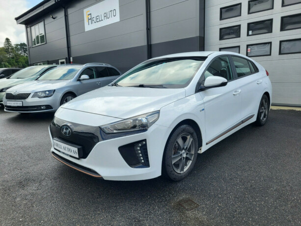 hyundai-ioniq-elektrisitet-2019-big-0