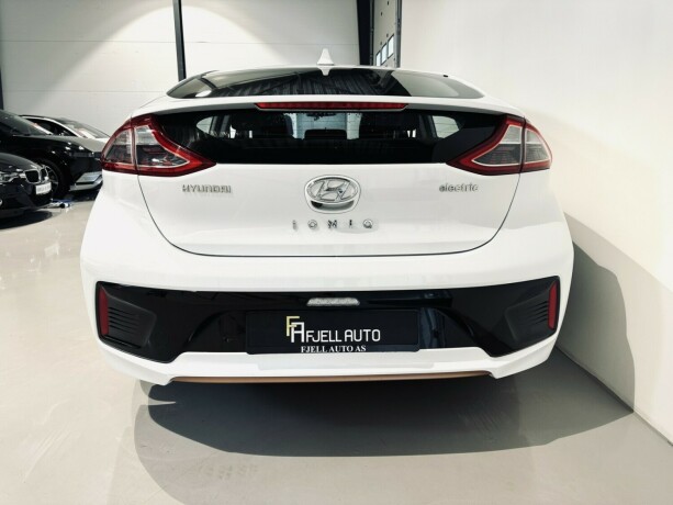 hyundai-ioniq-elektrisitet-2019-big-5