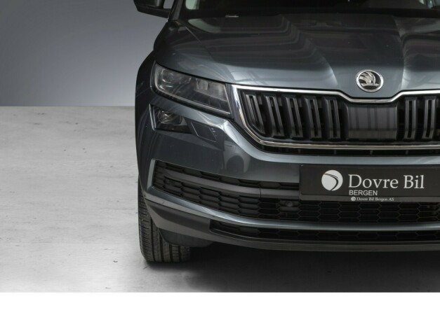 skoda-kodiaq-diesel-2019-big-3