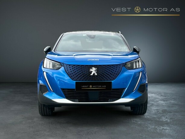 peugeot-2008-elektrisitet-2022-big-1