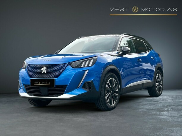 peugeot-2008-elektrisitet-2022-big-2