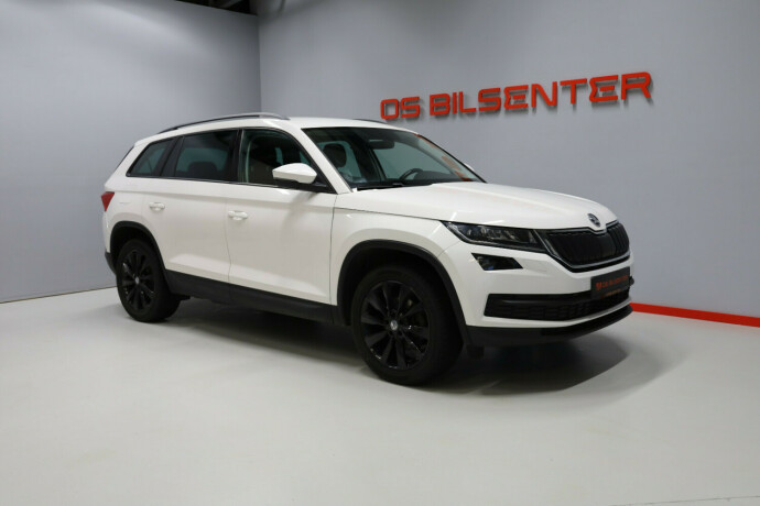 skoda-kodiaq-diesel-2017-big-0