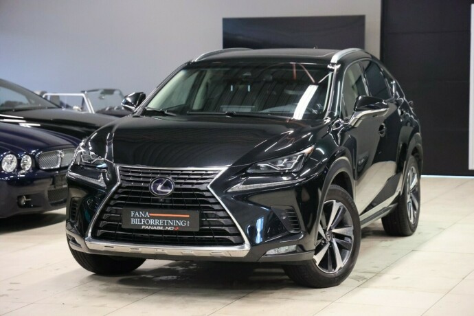 lexus-nx-300h-elektrisitetbensin-2019-big-0