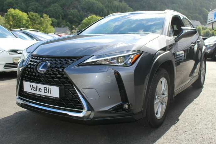 lexus-ux-elektrisitetbensin-2020-big-1