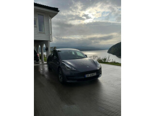 2021 Model 3 TESLA Elektrisitet