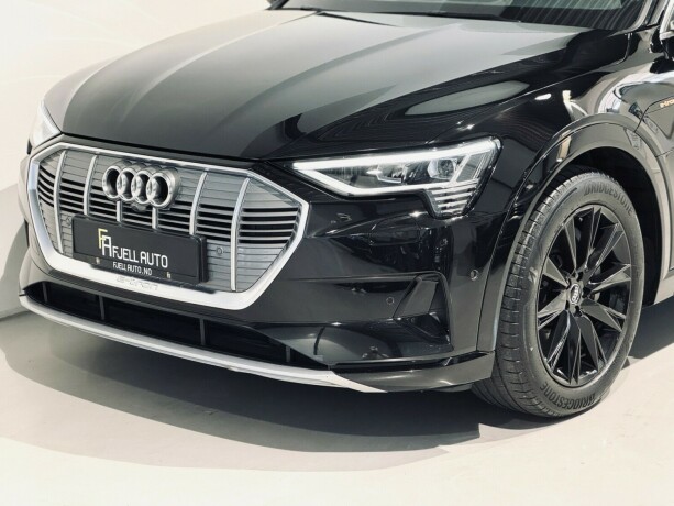 audi-e-tron-elektrisitet-2020-big-2