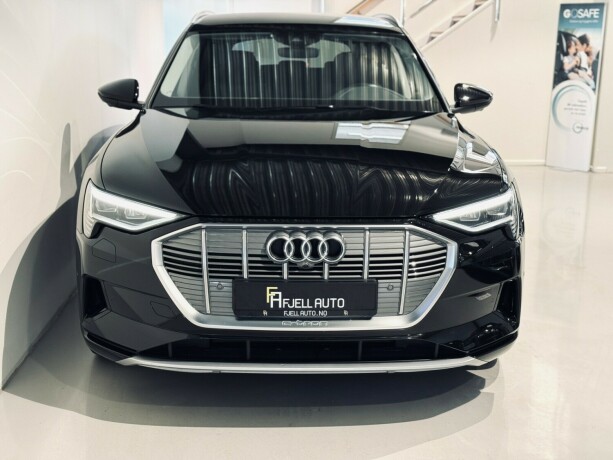 audi-e-tron-elektrisitet-2020-big-3