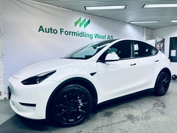 tesla-model-y-elektrisitet-2021-big-0