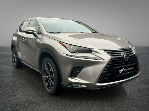 lexus-nx-300h-elektrisitetbensin-2018-big-2