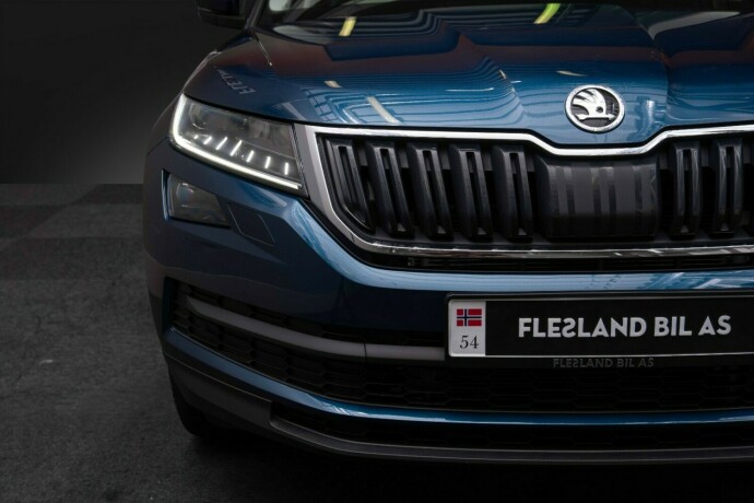 skoda-kodiaq-diesel-2021-big-5