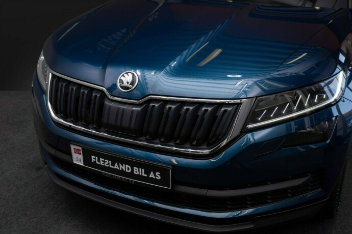 skoda-kodiaq-diesel-2021-big-4