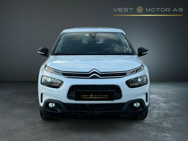 citroen-c4-cactus-bensin-2020-big-1