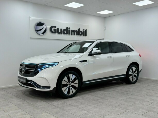 mercedes-benz-eqc-elektrisitet-2020-big-0