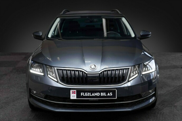 skoda-octavia-diesel-2020-big-6