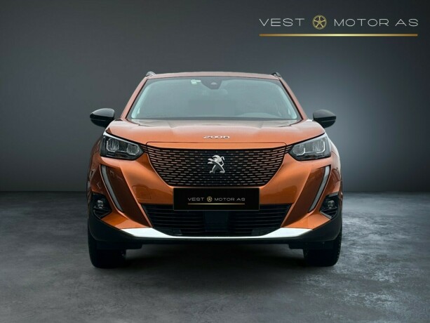 peugeot-2008-elektrisitet-2022-big-1