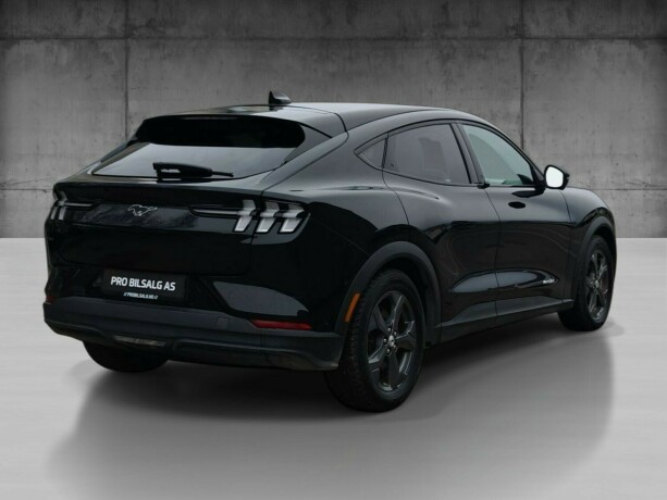 ford-mustang-mach-e-elektrisitet-2021-big-5