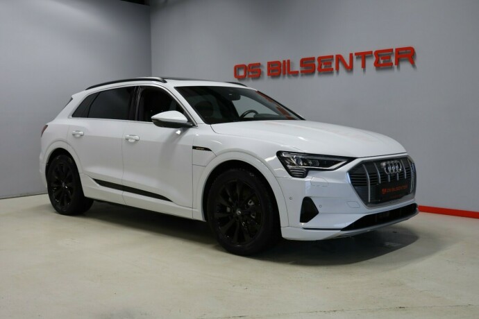 audi-e-tron-elektrisitet-2019-big-1