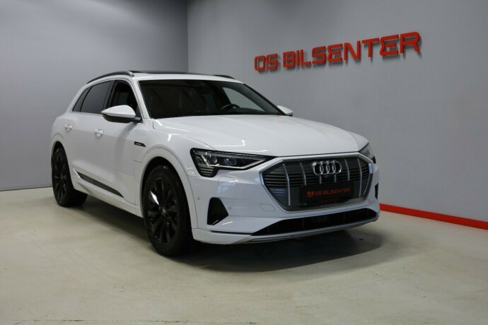 audi-e-tron-elektrisitet-2019-big-0