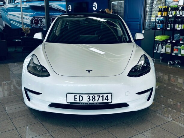 tesla-model-3-elektrisitet-2021-big-1