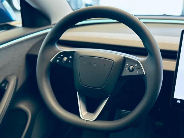 tesla-model-3-elektrisitet-2025-big-21