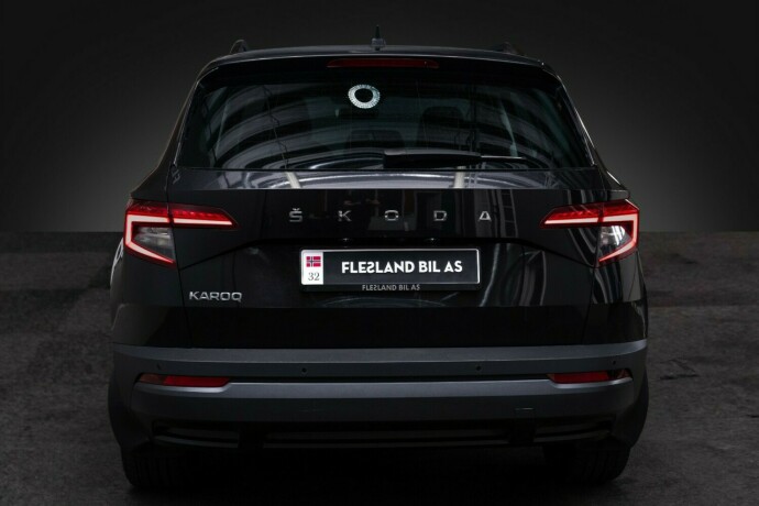 skoda-karoq-diesel-2020-big-9