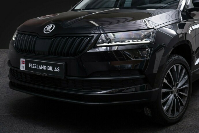 skoda-karoq-diesel-2020-big-2