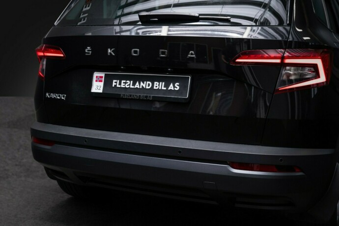 skoda-karoq-diesel-2020-big-11
