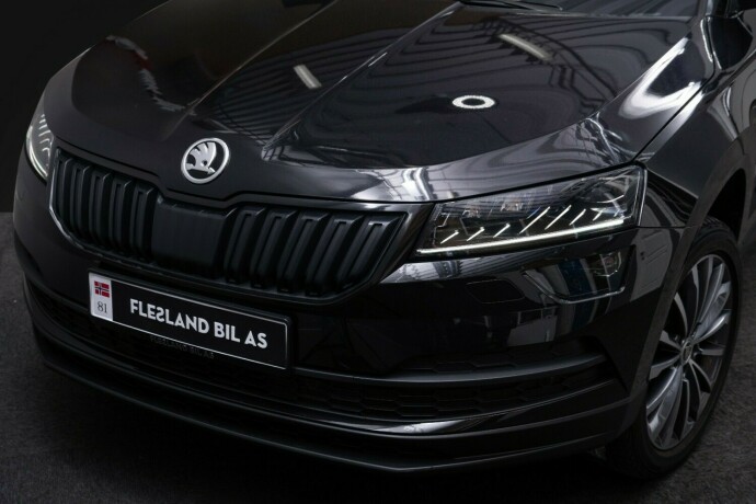 skoda-karoq-diesel-2020-big-4