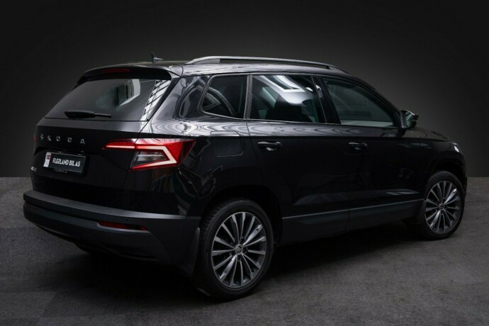 skoda-karoq-diesel-2020-big-8