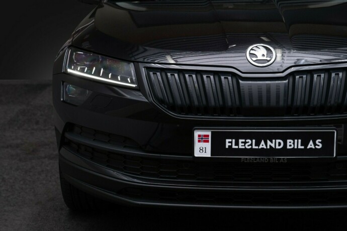 skoda-karoq-diesel-2020-big-6