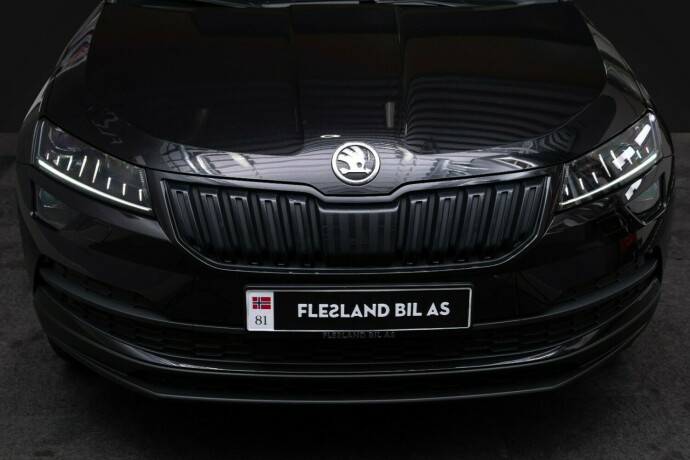 skoda-karoq-diesel-2020-big-5