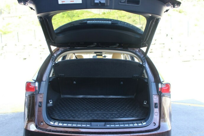 lexus-nx-300h-elektrisitetbensin-2016-big-5