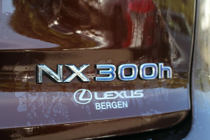 lexus-nx-300h-elektrisitetbensin-2016-big-4