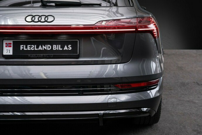 audi-e-tron-elektrisitet-2021-big-11