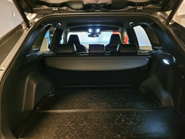 toyota-rav4-elektrisitetbensin-2020-big-20