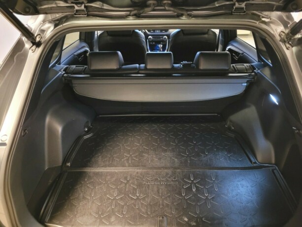 toyota-rav4-elektrisitetbensin-2020-big-19