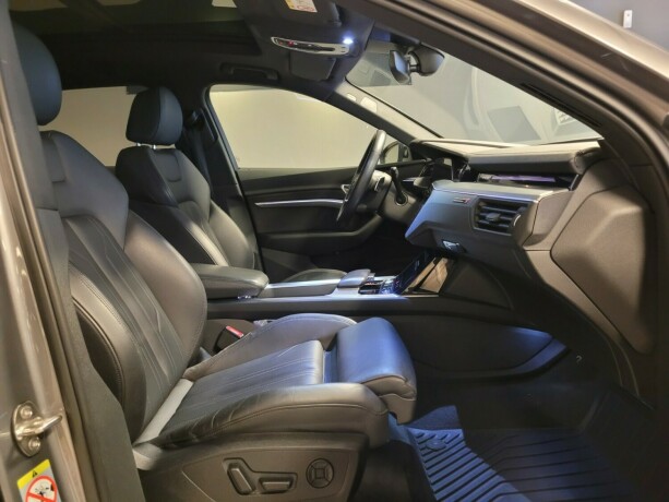 audi-e-tron-elektrisitet-2019-big-12