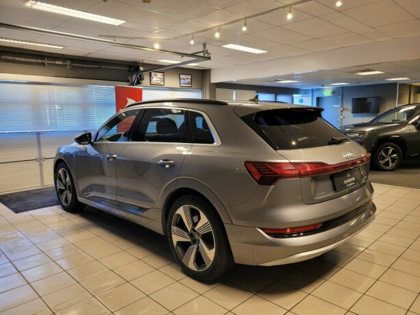 audi-e-tron-elektrisitet-2019-big-7