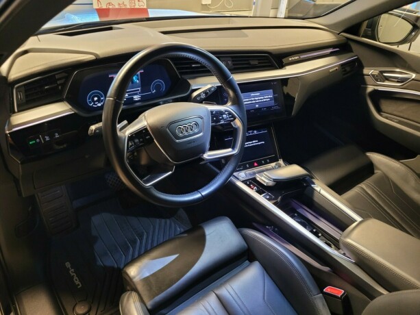 audi-e-tron-elektrisitet-2019-big-25