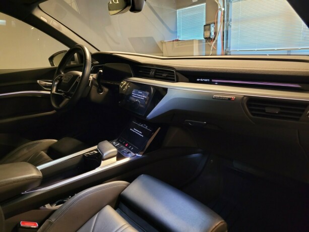 audi-e-tron-elektrisitet-2019-big-16