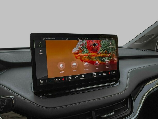 skoda-enyaq-elektrisitet-2022-big-48