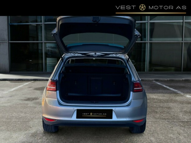 volkswagen-golf-elektrisitet-2017-big-6