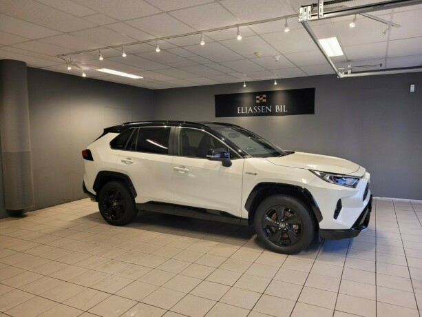 toyota-rav4-elektrisitetbensin-2020-big-2