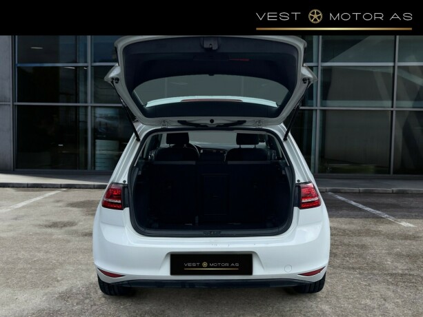 volkswagen-golf-elektrisitet-2015-big-6