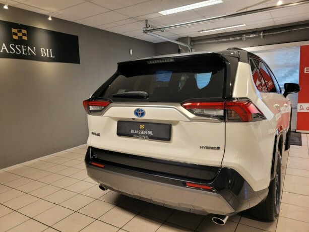 toyota-rav4-elektrisitetbensin-2019-big-6