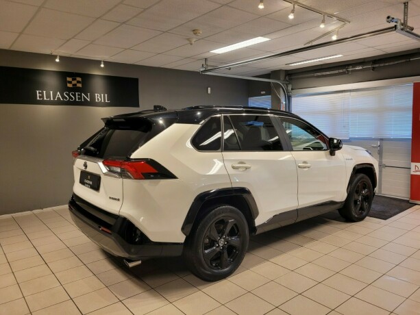 toyota-rav4-elektrisitetbensin-2019-big-4