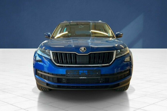 skoda-kodiaq-diesel-2021-big-2