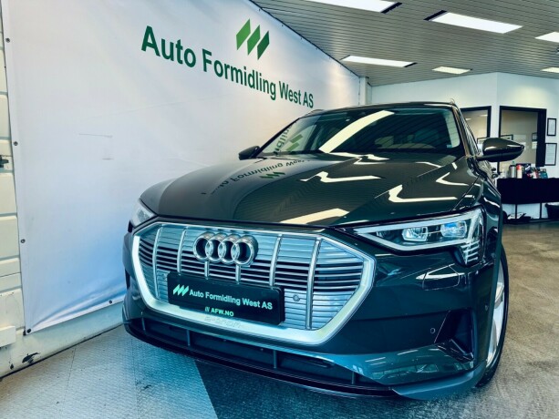 audi-e-tron-elektrisitet-2020-big-2
