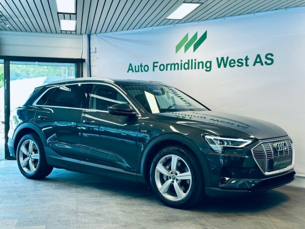 audi-e-tron-elektrisitet-2020-big-9